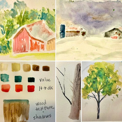 Watercolor Basics for Beginners