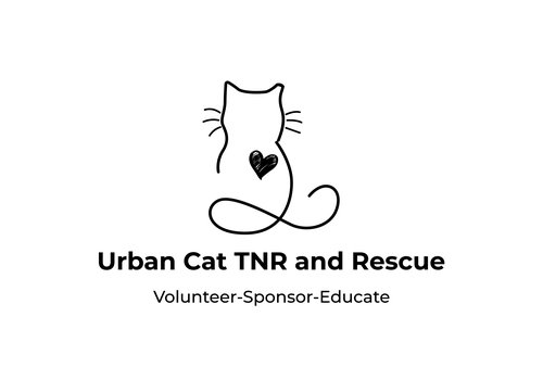 urban cat tnr and rescue